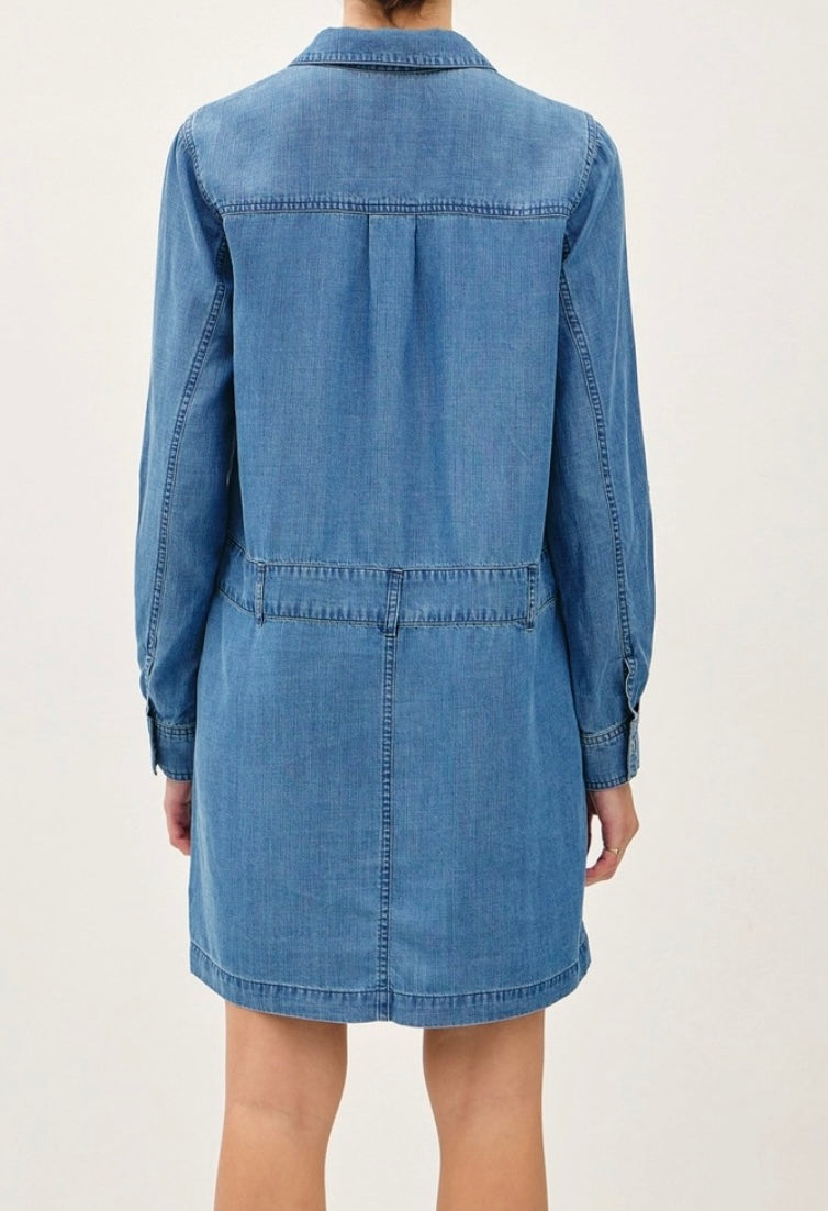 Emmylou Denim Dress