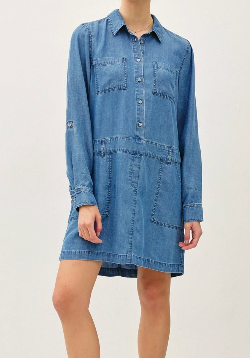 Emmylou Denim Dress